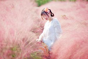 粉黛亂子草種子種植方法及批發價格