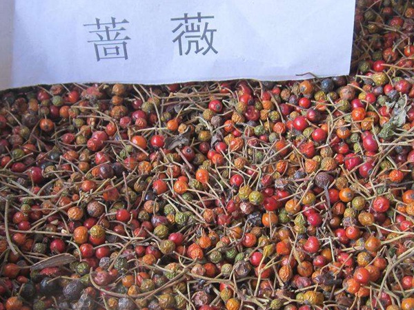 薔薇種子