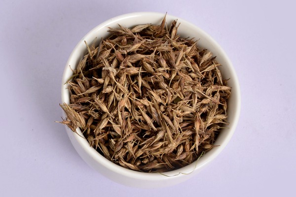 狼尾草種子怎么種，狼尾草種子的播種方法