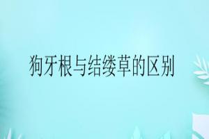 狗牙根與結縷草的區別是什么-狗牙根與結縷草怎么區別