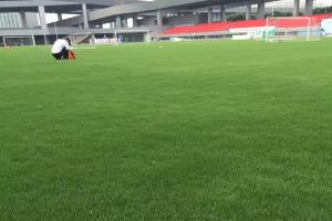 狗牙根和牛筋草有什么區別-狗牙根和牛筋草的區別