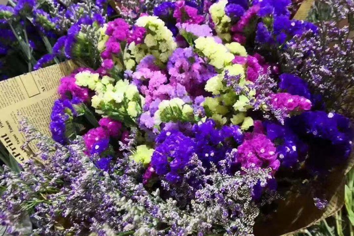 勿忘我花期有多久,勿忘我的花語是什么
