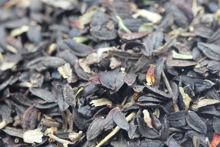 苦麥菜 (3).JPG
