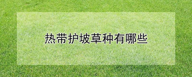 熱帶護坡草種有哪些(南方護坡草種)